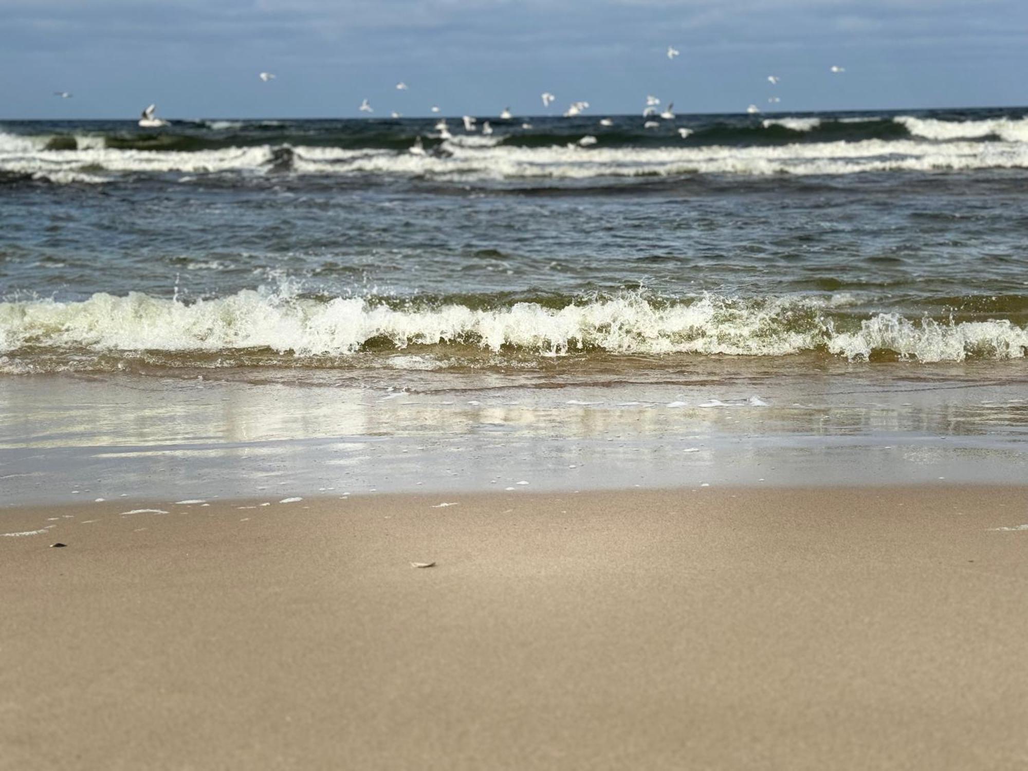 Baltic Waves B404